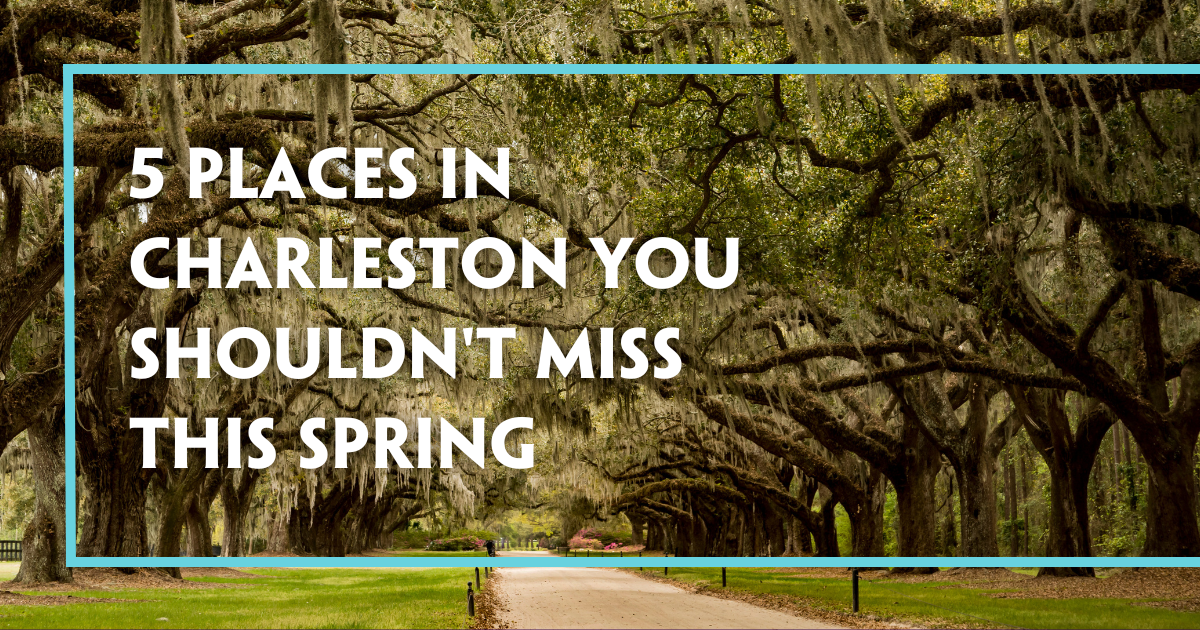5 Places in Charleston You Shouldn’t Miss This Spring
